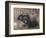 A Black Rabbit (Bodycolour on Linen)-Joseph Crawhall-Framed Giclee Print