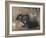 A Black Rabbit (Bodycolour on Linen)-Joseph Crawhall-Framed Giclee Print