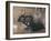 A Black Rabbit (Bodycolour on Linen)-Joseph Crawhall-Framed Giclee Print