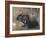 A Black Rabbit (Bodycolour on Linen)-Joseph Crawhall-Framed Giclee Print