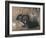 A Black Rabbit (Bodycolour on Linen)-Joseph Crawhall-Framed Giclee Print