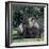 A Black Rhino and Calf in the Aberdare Natrional Park-Nigel Pavitt-Framed Photographic Print