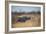 A Black Rhinoceros, Diceros Bicornis, Feeds Off a Spiny Acacia Bush at Sunset-Alex Saberi-Framed Photographic Print