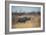 A Black Rhinoceros, Diceros Bicornis, Feeds Off a Spiny Acacia Bush at Sunset-Alex Saberi-Framed Photographic Print