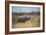 A Black Rhinoceros, Diceros Bicornis, Feeds Off a Spiny Acacia Bush at Sunset-Alex Saberi-Framed Photographic Print