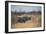 A Black Rhinoceros, Diceros Bicornis, Feeds Off a Spiny Acacia Bush at Sunset-Alex Saberi-Framed Photographic Print