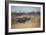 A Black Rhinoceros, Diceros Bicornis, Feeds Off a Spiny Acacia Bush at Sunset-Alex Saberi-Framed Photographic Print