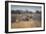 A Black Rhinoceros, Diceros Bicornis, Feeds Off a Spiny Acacia Bush at Sunset-Alex Saberi-Framed Photographic Print