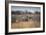 A Black Rhinoceros, Diceros Bicornis, Feeds Off a Spiny Acacia Bush at Sunset-Alex Saberi-Framed Photographic Print