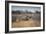 A Black Rhinoceros, Diceros Bicornis, Feeds Off a Spiny Acacia Bush at Sunset-Alex Saberi-Framed Photographic Print