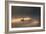 A Black Swan Glides Through Golden Sunrise Mists of Ibirapuera Park-Alex Saberi-Framed Photographic Print