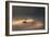 A Black Swan Glides Through Golden Sunrise Mists of Ibirapuera Park-Alex Saberi-Framed Photographic Print