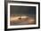 A Black Swan Glides Through Golden Sunrise Mists of Ibirapuera Park-Alex Saberi-Framed Photographic Print