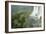 A Black Vulture, Coragyps Atratus, Resting on a Branch Near a Waterfall in Iguacu Falls-Alex Saberi-Framed Photographic Print