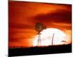 Premium Photographic Print
