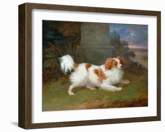 A Blenheim Spaniel-William Webb-Framed Giclee Print