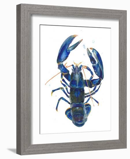 A Blue Lobster-Isabelle Brent-Framed Photographic Print