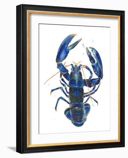 A Blue Lobster-Isabelle Brent-Framed Photographic Print