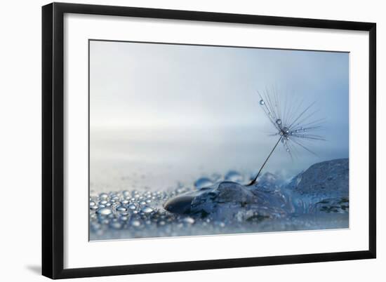 A Blue Morning-null-Framed Premium Giclee Print