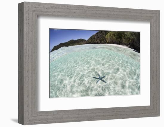 A Blue Starfish on the Seafloor of Raja Ampat, Indonesia-Stocktrek Images-Framed Photographic Print