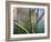 A Blue Tit Rests on a Branch in Richmond Park-Alex Saberi-Framed Photographic Print