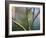 A Blue Tit Rests on a Branch in Richmond Park-Alex Saberi-Framed Photographic Print