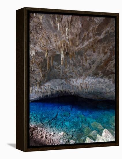 A Blue Underground Lake in Grotto Azul Cave System, Bonito, Brazil-Alex Saberi-Framed Premier Image Canvas