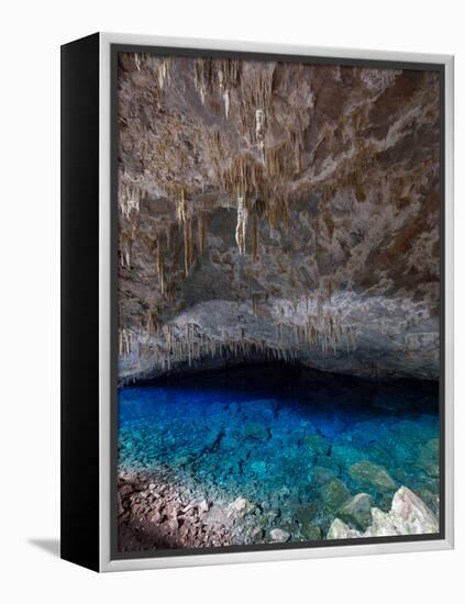 A Blue Underground Lake in Grotto Azul Cave System, Bonito, Brazil-Alex Saberi-Framed Premier Image Canvas