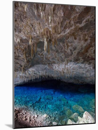 A Blue Underground Lake in Grotto Azul Cave System, Bonito, Brazil-Alex Saberi-Mounted Photographic Print