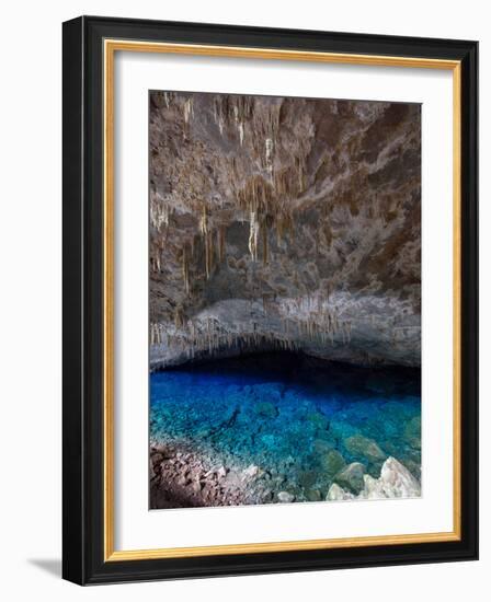 A Blue Underground Lake in Grotto Azul Cave System, Bonito, Brazil-Alex Saberi-Framed Photographic Print