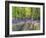 A Bluebell Path-Assaf Frank-Framed Giclee Print