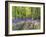 A Bluebell Path-Assaf Frank-Framed Giclee Print