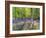 A Bluebell Path-Assaf Frank-Framed Giclee Print