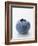 A Blueberry-null-Framed Photographic Print