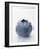 A Blueberry-null-Framed Photographic Print