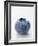 A Blueberry-null-Framed Photographic Print