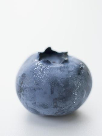 A Blueberry Photographic Print Art Com