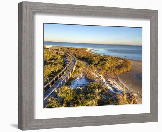 A Boardwalk Curves over the Vegetation on the Dunes in Big Lagoon State Park near Pensacola, Florid-Colin D Young-Framed Photographic Print