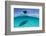 A Boat Is Anchored in the Clear Blue Tropical Waters Off Staniel Cay, Exuma, Bahamas-James White-Framed Photographic Print