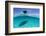 A Boat Is Anchored in the Clear Blue Tropical Waters Off Staniel Cay, Exuma, Bahamas-James White-Framed Photographic Print