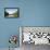 A Boat on an Igarape (Flooded Creek) in the Brazilian Amazon Near Belem, Para, Brazil-Alex Robinson-Framed Premier Image Canvas displayed on a wall