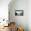 A Boat on an Igarape (Flooded Creek) in the Brazilian Amazon Near Belem, Para, Brazil-Alex Robinson-Framed Premier Image Canvas displayed on a wall