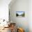 A Boat on an Igarape (Flooded Creek) in the Brazilian Amazon Near Belem, Para, Brazil-Alex Robinson-Photographic Print displayed on a wall