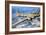 A Boeing B-17 Flying Fortress, 1944-American Photographer-Framed Photographic Print