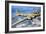 A Boeing B-17 Flying Fortress, 1944-American Photographer-Framed Photographic Print