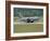 A Boeing C-17 Globemaster III of the U.S. Air Force Taking Off-Stocktrek Images-Framed Photographic Print