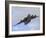 A Boeing C-17 Globemaster III Taking Off from Nellis Air Force Base-Stocktrek Images-Framed Photographic Print