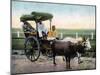 A Bombay Reckla, India, Early 20th Century-null-Mounted Giclee Print