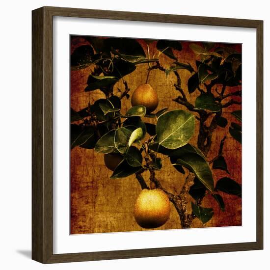 A Bonsai Pear Tree with Two Fruit Against a Rich, Gold Craquelure Background-Trigger Image-Framed Photographic Print