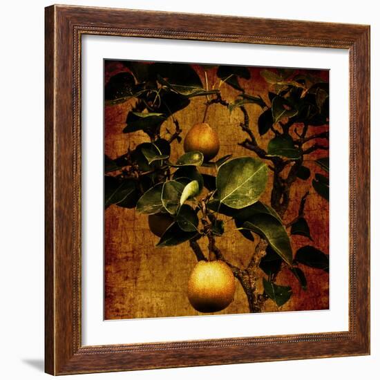 A Bonsai Pear Tree with Two Fruit Against a Rich, Gold Craquelure Background-Trigger Image-Framed Photographic Print